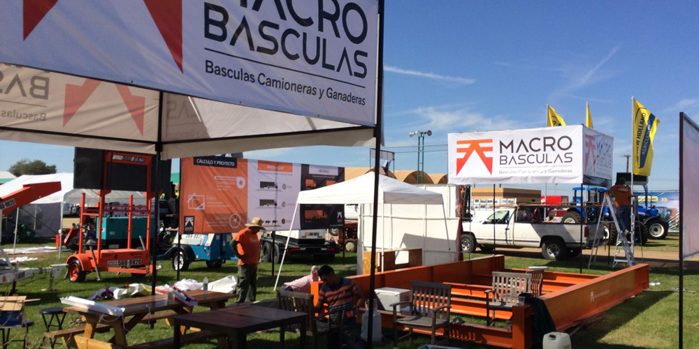 macobasculas-inicio-galeria
