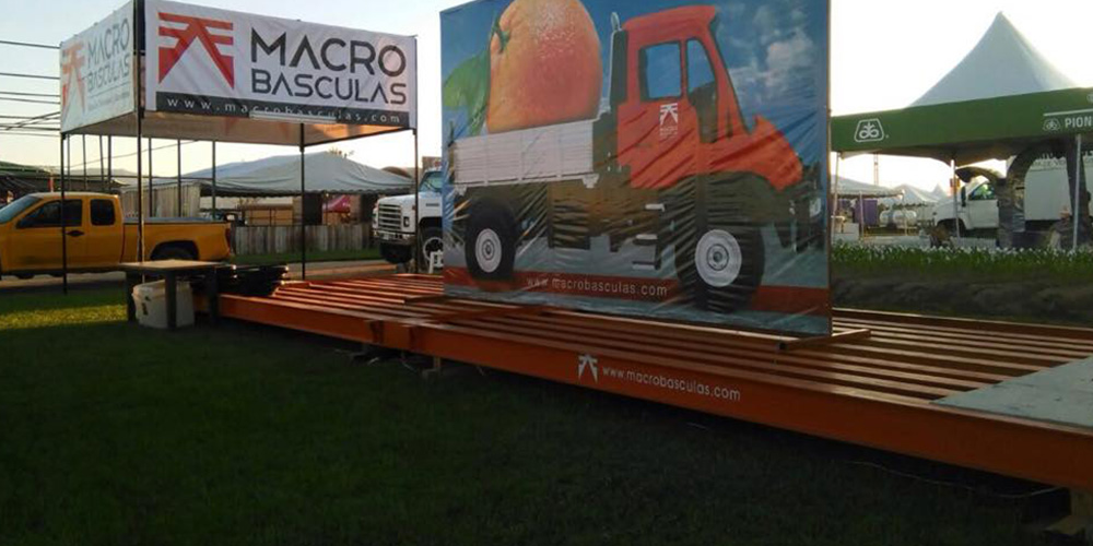 macobasculas-inicio-galeria